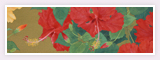 Tropical Flower / 2004